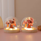 Cherry Blossom Tree Snow Globe Night Light, LED Glowing Crystal Ball with Wooden Base, Pink Flowers, Warm White Light