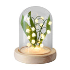 Lily of the Valley Glass Dome Night Light with Wooden Base, LED Glowing Flower Lamp, Warm White, USB Powered