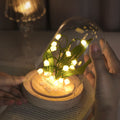 Lily of the Valley Glass Dome Night Light with Wooden Base, LED Glowing Flower Lamp, Warm White, USB Powered